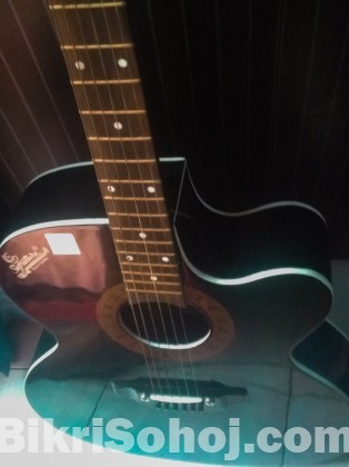 Semi-Electric Acoustic Signature Guitar